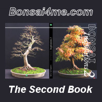 bonsai book